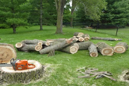 McDonald Tree Service
