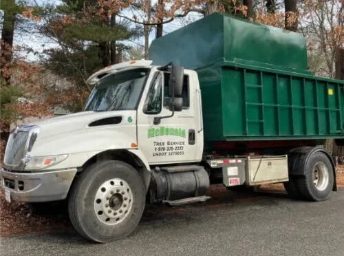 McDonald-Tree-Removal-Services-about us