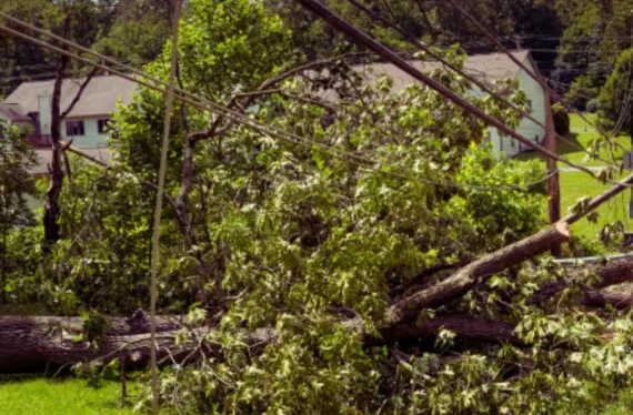 Storm-Debris-Removal-servicees-Mcdonald