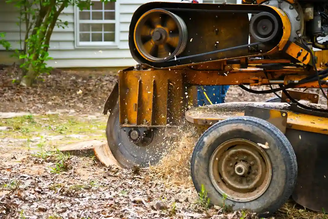 Mcdonald-Our-Expert-Stump-Grinding-Process-BileriaMA